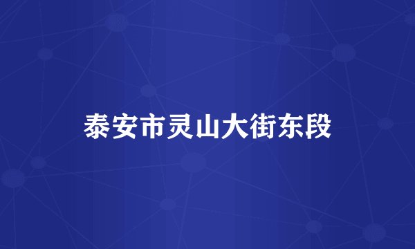 泰安市灵山大街东段
