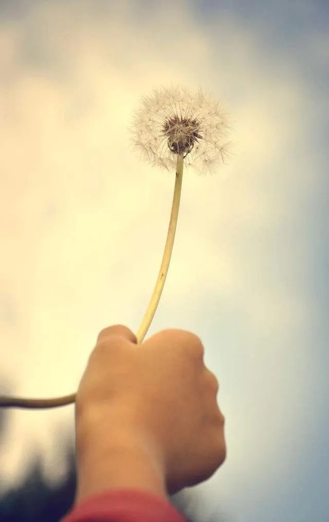 一个好友谈了一个很差的男朋友，我应该劝她分手吗？