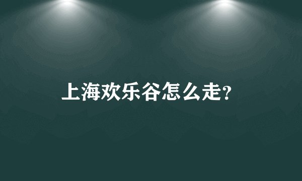 上海欢乐谷怎么走？