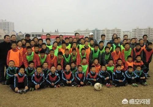 埃尔克森和高拉特倘若真的被顺利归化成功，他们还把国足带入了世界杯！你们会自豪吗？