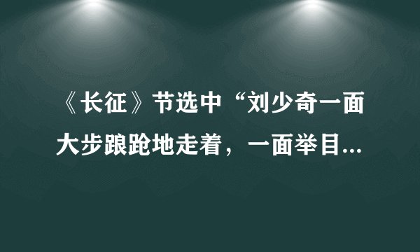 《长征》节选中“刘少奇一面大步踉跄地走着，一面举目四望。”的“踉跄”有什么意思？