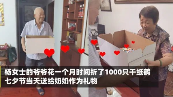 爷爷折千只千纸鹤送奶奶遭嫌弃，具体是怎么回事？