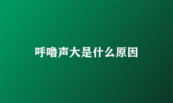 呼噜声大是什么原因