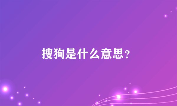搜狗是什么意思？