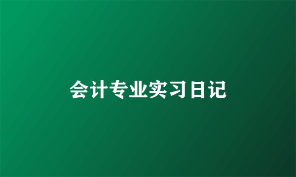 会计专业实习日记