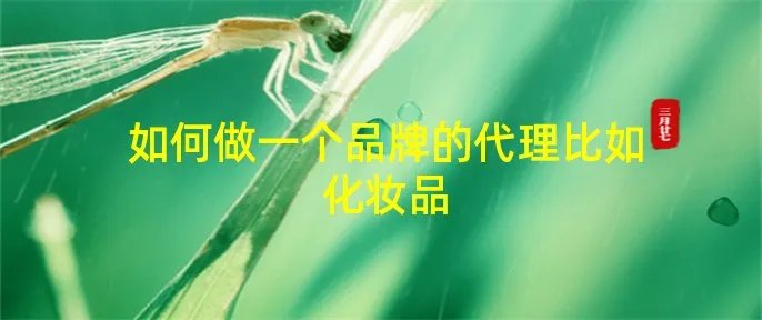 如何做一个品牌的代理比如化妆品