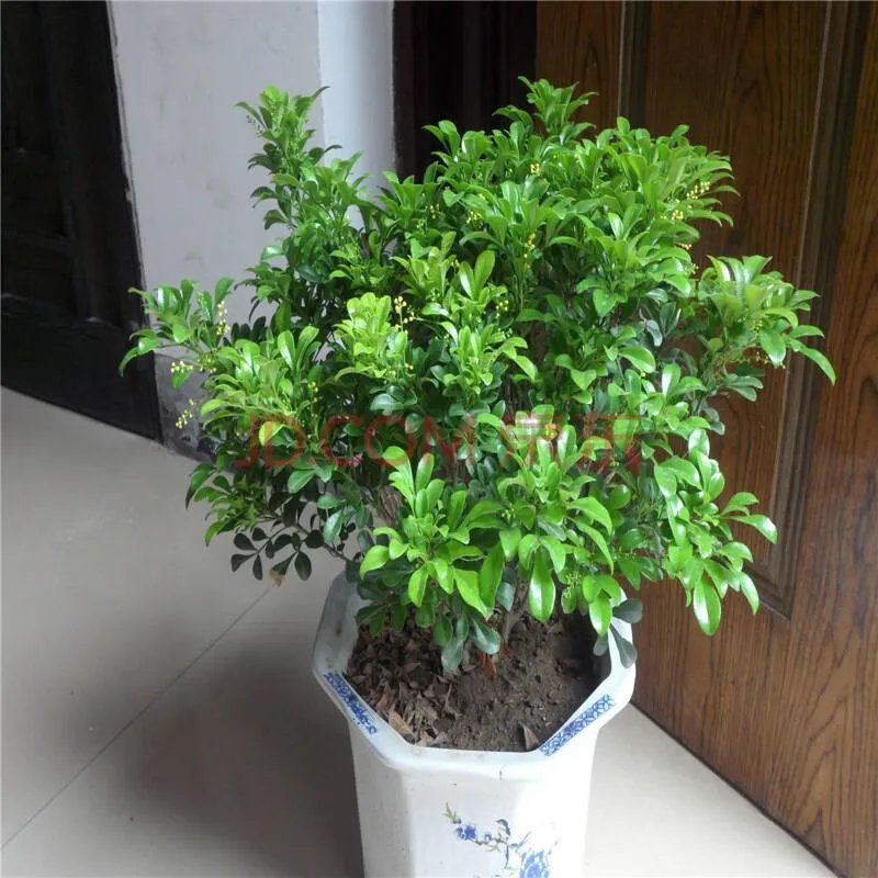 房屋装修风水学禁忌