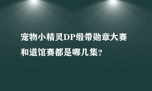宠物小精灵DP缎带勋章大赛和道馆赛都是哪几集？
