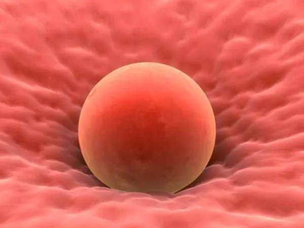 				国内正规渠道买卵子要多少钱一颗？			