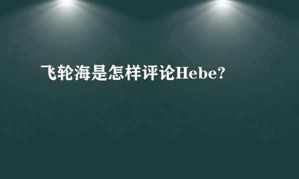 飞轮海是怎样评论Hebe?