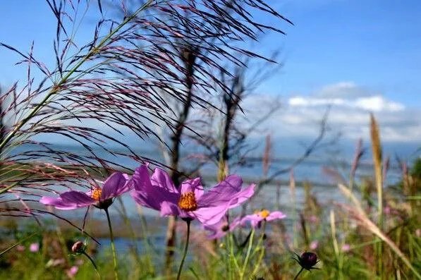 大理为什么有风花雪月这说?