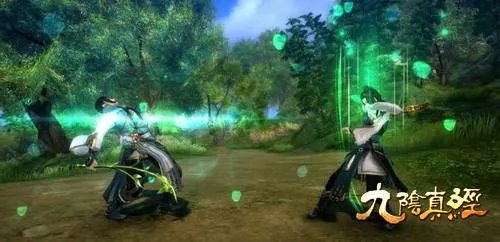 从内功搭配入手 玩转九阴真经之金针沈家