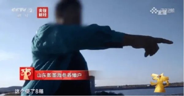 难道敌敌畏泡大的海参，产业链里早已人尽皆知了吗？