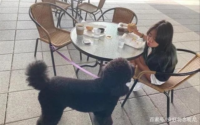 曹格夫妇为女儿庆生，10岁Grace颜值开挂，身材似模特，你怎么看？