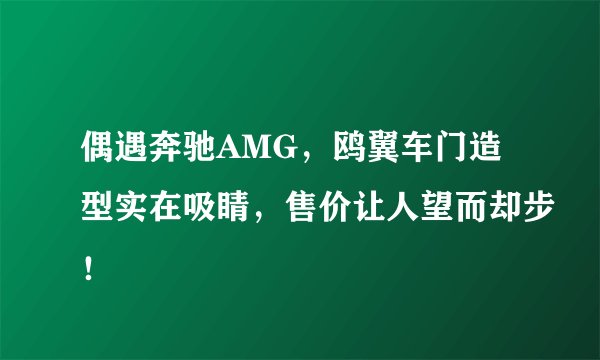 偶遇奔驰AMG，鸥翼车门造型实在吸睛，售价让人望而却步！