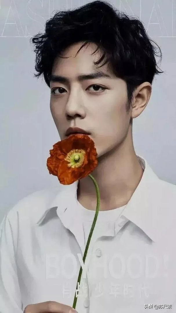 大家有肖战、王一博的壁纸吗，分享一下