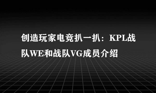 创造玩家电竞扒一扒:KPL战队WE和战队VG成员介绍