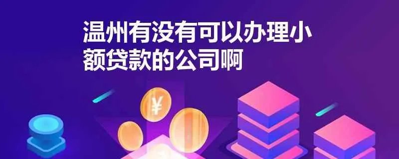 温州担保公司小额贷款