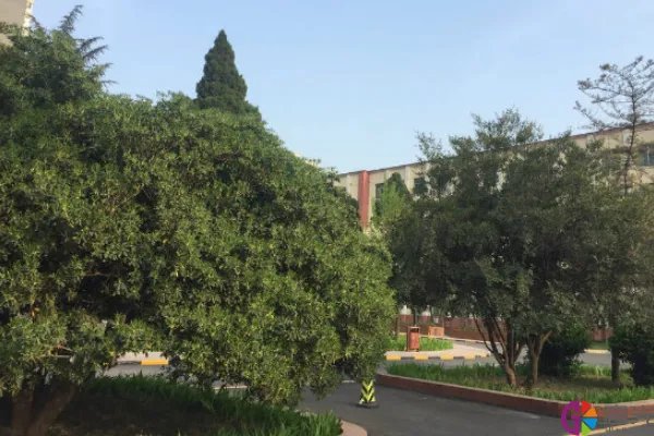 西安艺考培训机构前十