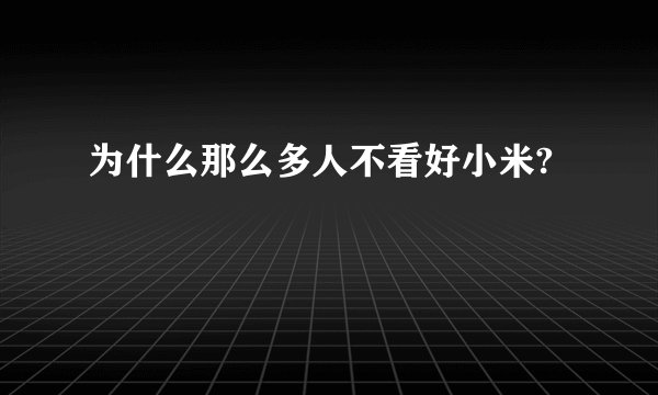 为什么那么多人不看好小米?
