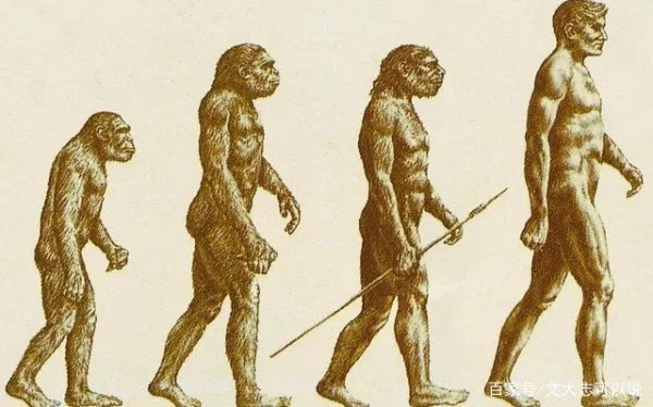 为什么人一定要繁衍后代？