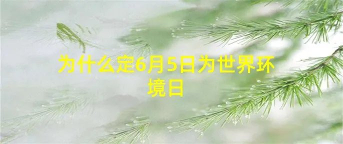 为什么定6月5日为世界环境日