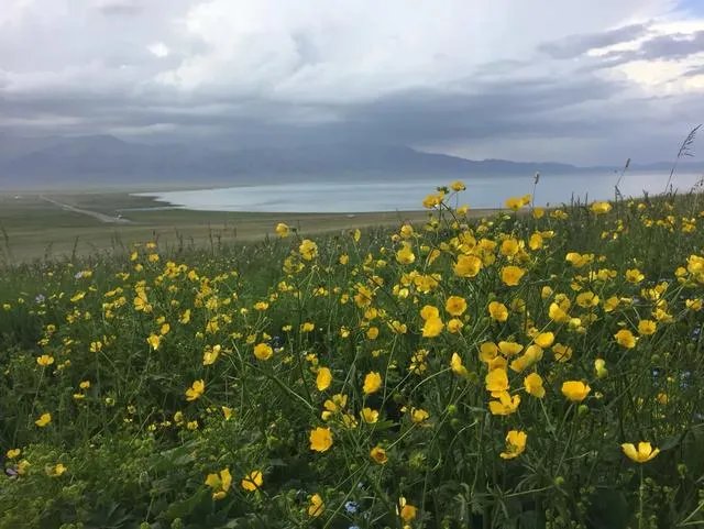 如果只能选一个，你认为新疆哪个湖最美？