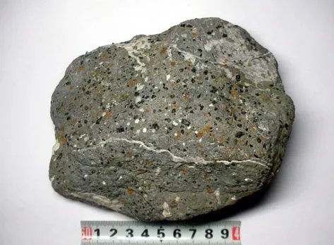 男子百万买火星陨石有可能是假是怎么回事?