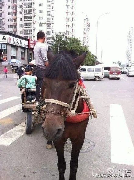 你有没有被同事偷过手机的经历？分享一下？