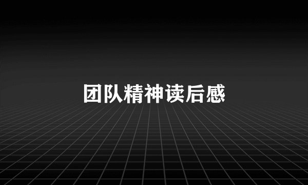 团队精神读后感