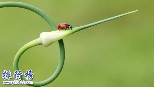 2018年立春是哪一天 春分和立春的区别是什么