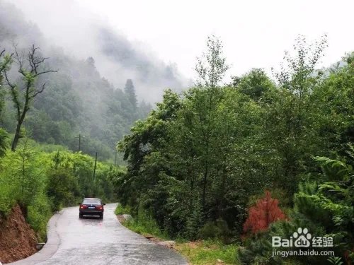 黑河森林公园旅游攻略