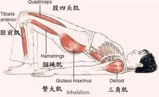 瑜伽减肥效果怎么样？
