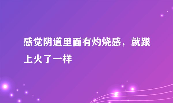 感觉阴道里面有灼烧感，就跟上火了一样