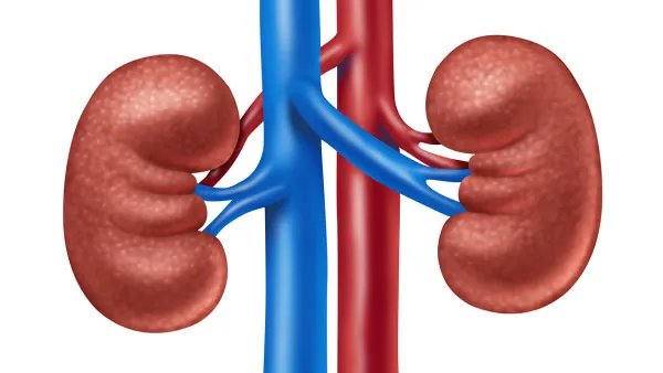 肾病综合征的护理