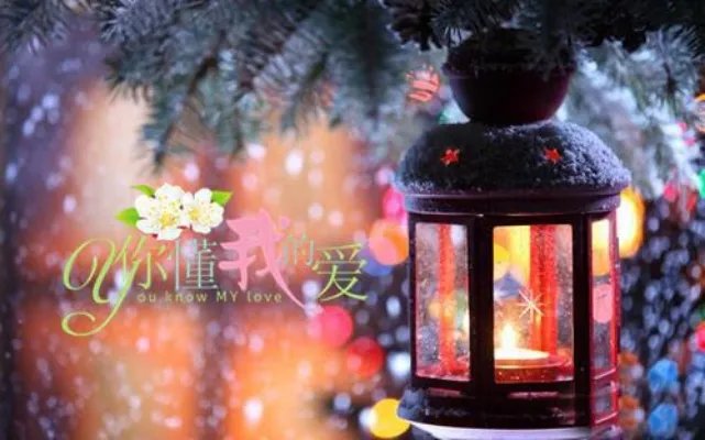 神婿叶凡唐若雪免费全文阅读 神婿叶凡完整版