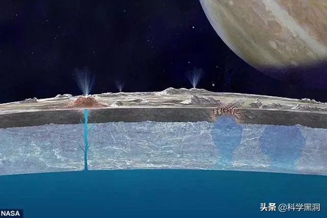 木卫二有海洋吗？有人说木卫二的海洋中存在类似海豚的生命，对吗？