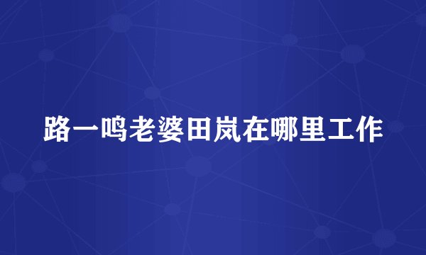 路一鸣老婆田岚在哪里工作