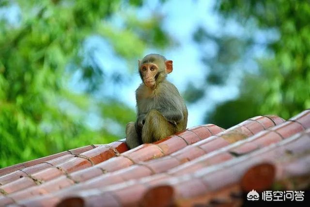 贵阳有哪些旅游景点？