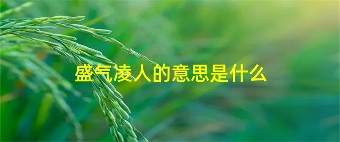 盛气凌人的意思是什么