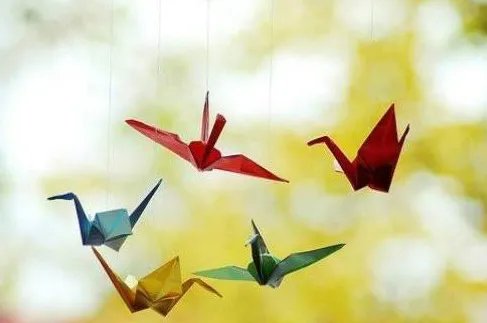 爷爷折千只千纸鹤送奶奶遭嫌弃,具体是怎么回事?