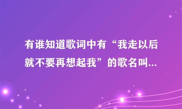 有谁知道歌词中有“我走以后就不要再想起我”的歌名叫什么？谢谢