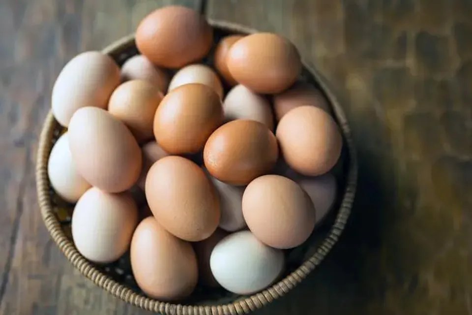 保洁蛋是什么鸡蛋 鸡蛋是高热量食物吗