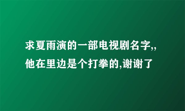 求夏雨演的一部电视剧名字,,他在里边是个打拳的,谢谢了