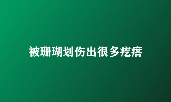 被珊瑚划伤出很多疙瘩