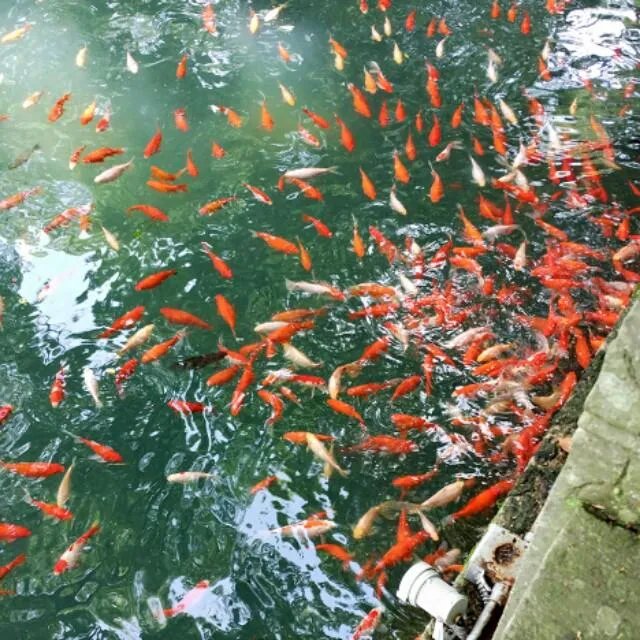 《浪花一朵朵》已经大结局了，你们有没有什么感想和体会呢？