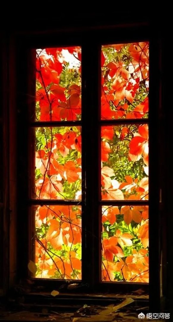 立秋写一首小诗