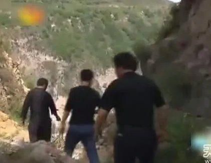 云梦山白蛇渡劫失败被雷劈死：竟被野猪吃掉