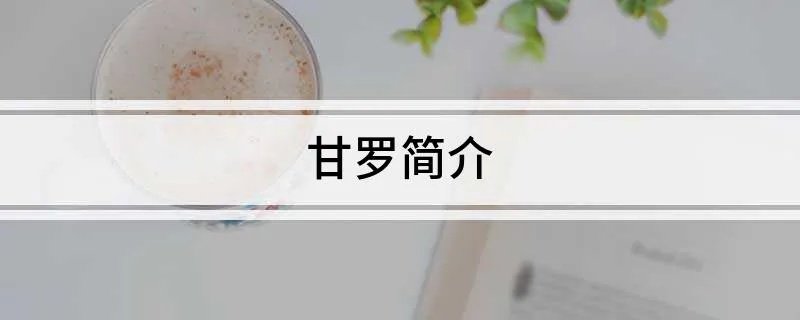 甘罗简介