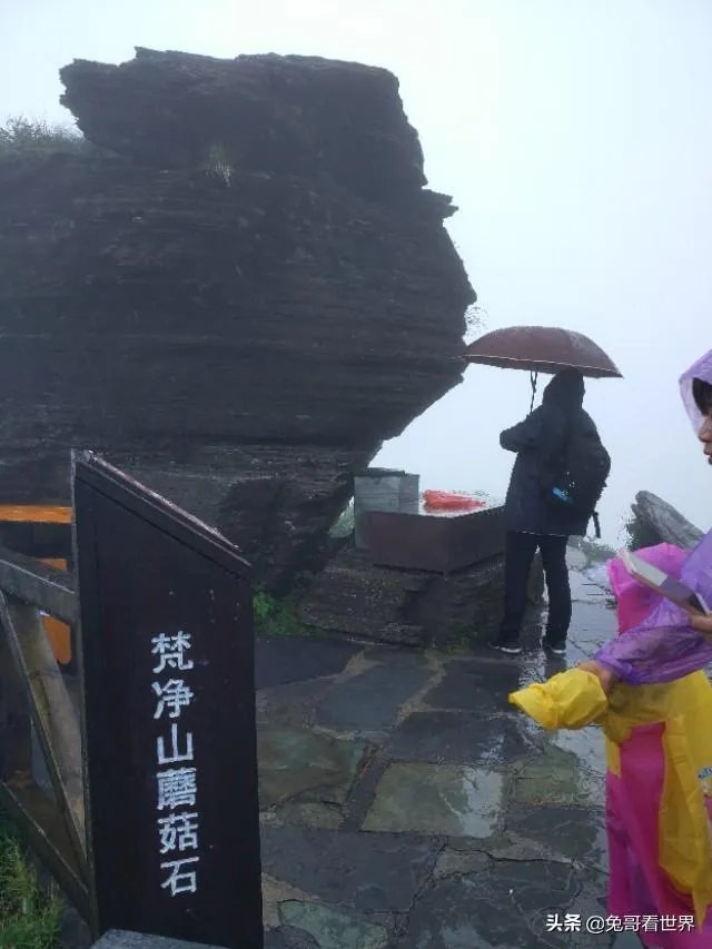 你去过的第一个A级景区是哪里？给你留下了什么深刻印象？